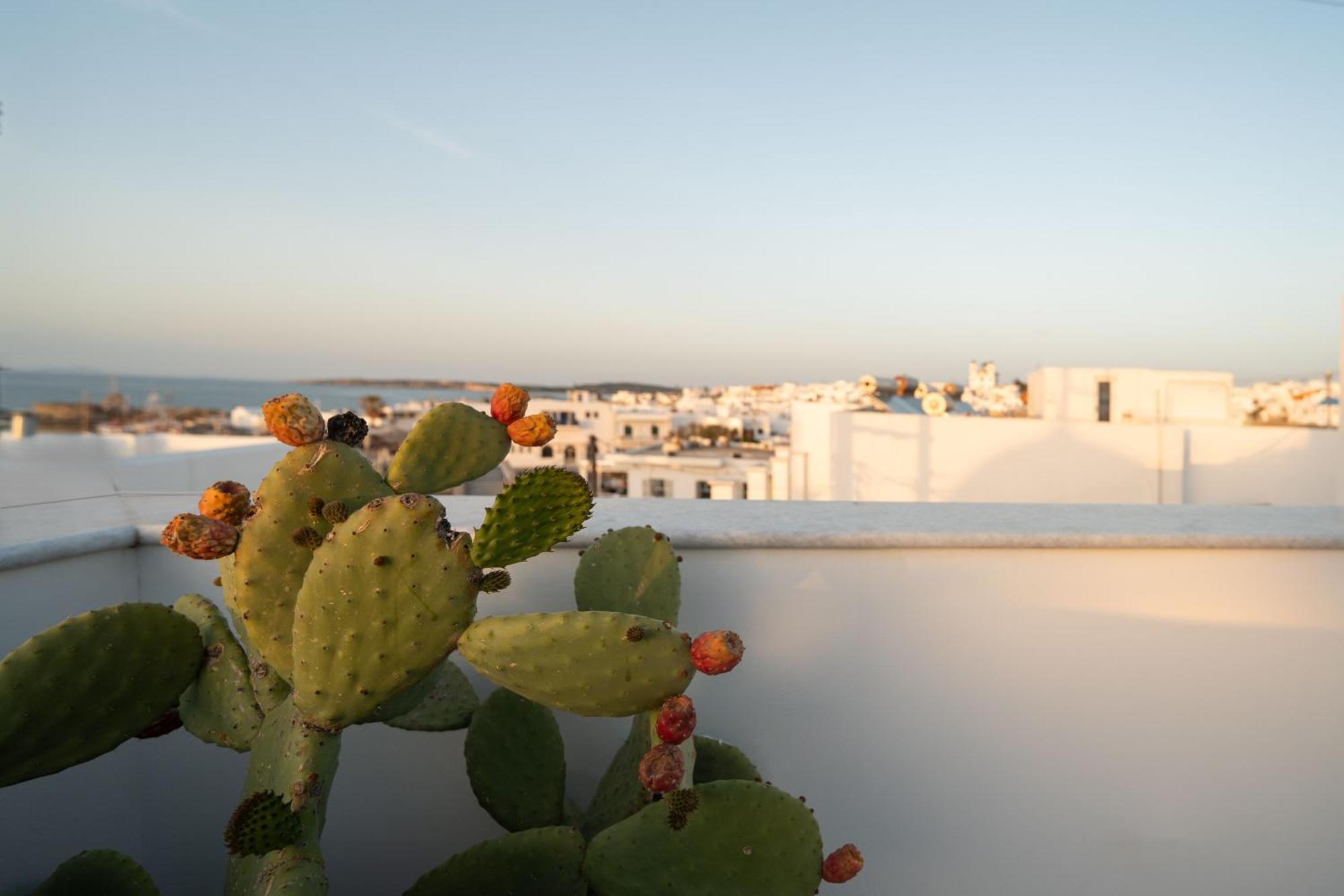 Nevma Naousa Boutique Apartment Dış mekan fotoğraf